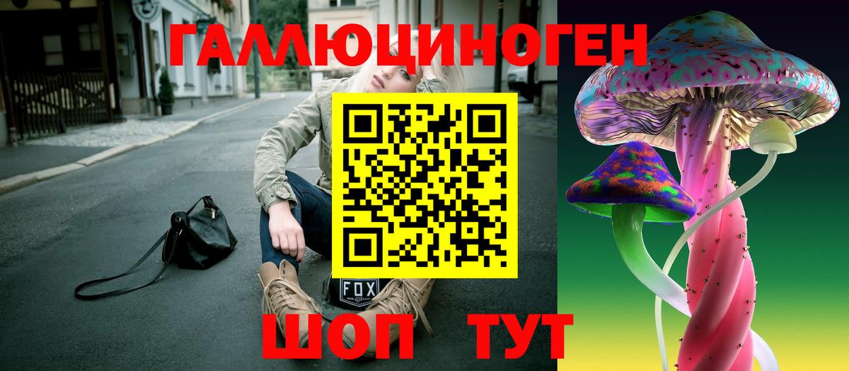 Псилоцибиновые грибы Cubensis Буйнакск