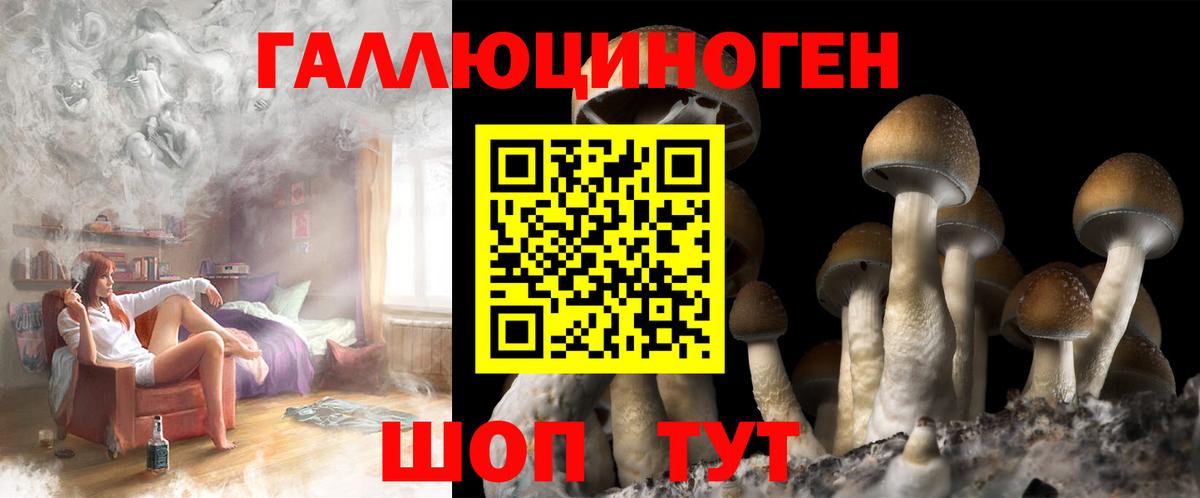 Буйнакск  Галлюциногенные грибы Psilocybe  Вход с VPN 